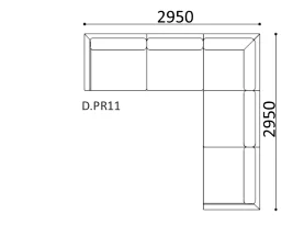 D.PR11