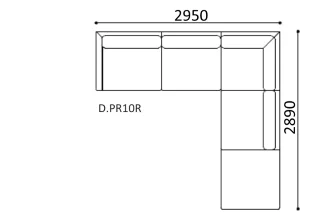 D.PR10R