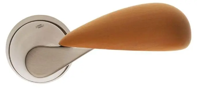 TACTA