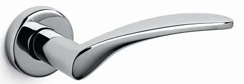Novella