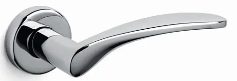 Novella