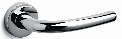 Tizianella F
