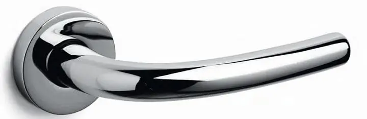 Tizianella F