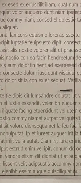 Межкомнатная дверь Porta rasoparete da tinteggiare