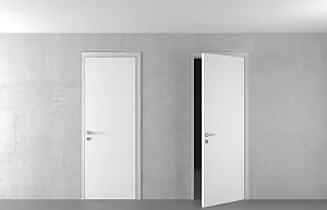 Распашная дверь