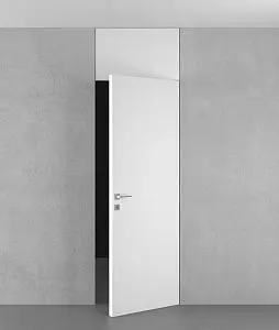 Дверь с фрамугой