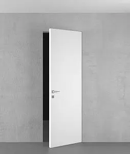 Распашная дверь