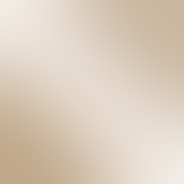 GT03 Trasparente Bronzo