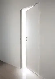Chameleon Chameleon